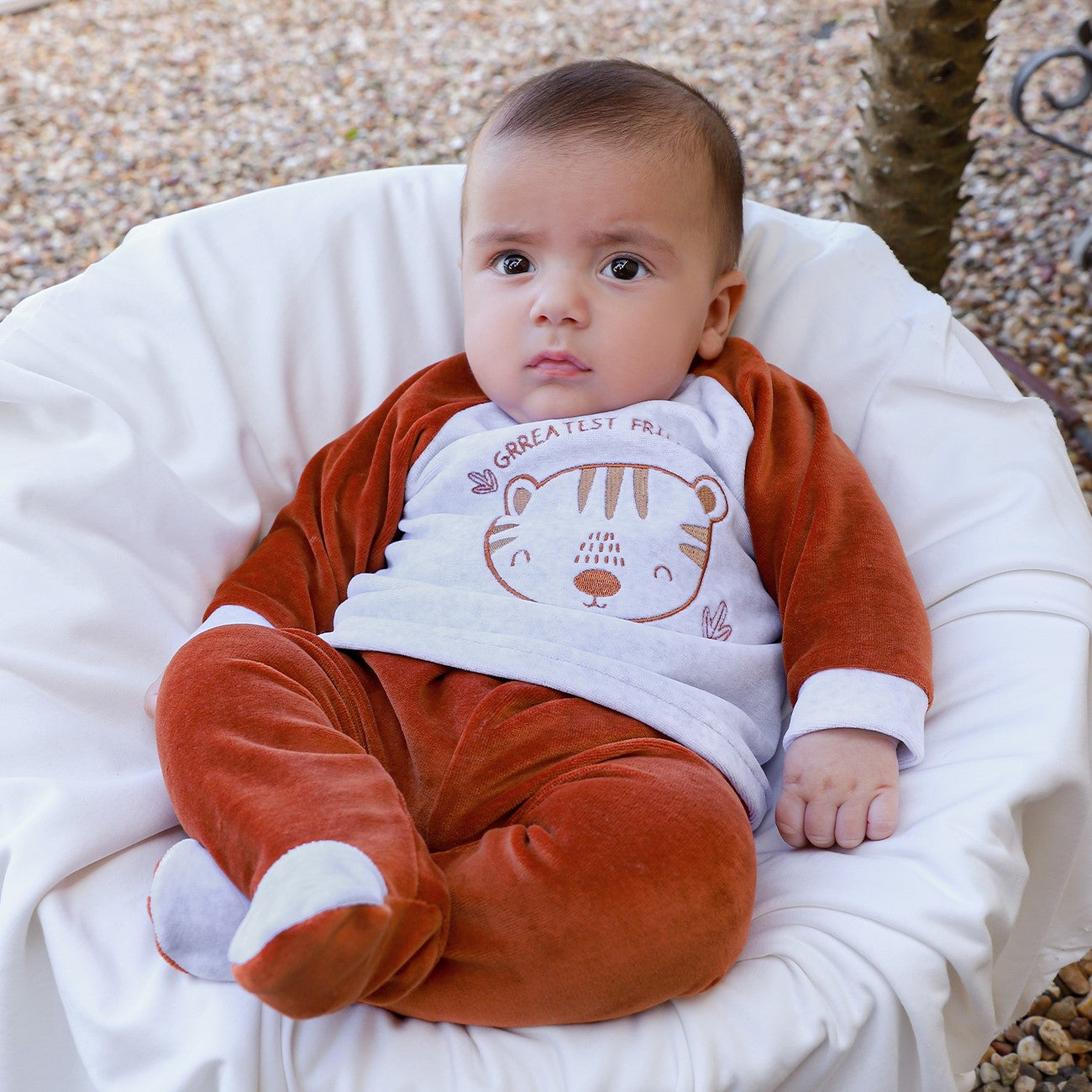 Tutina Neonato Nascita in Ciniglia 2 Pezzi - Tigrotto