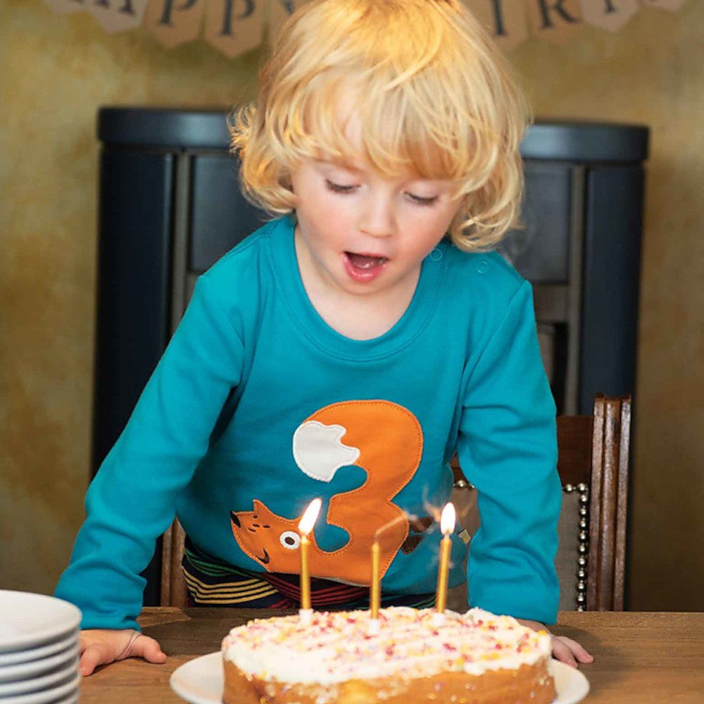 T-Shirt Manica Lunca Compleanno - Volpe n. 3 - Frugi