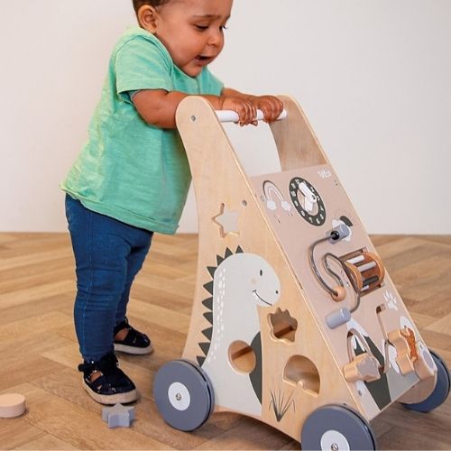 Carrello Primi Passi Natura in Legno - con Blocchi - Tryco Baby
